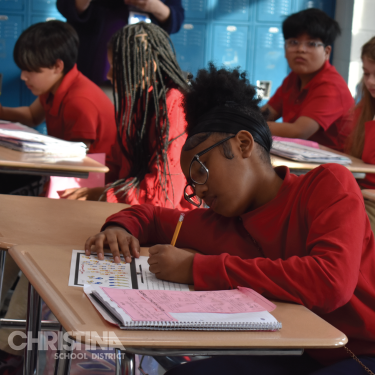  Female student working on lesson with other students in class